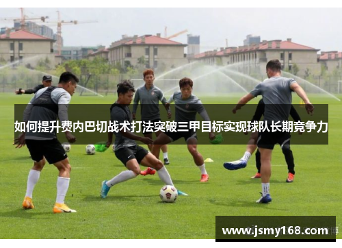 如何提升费内巴切战术打法突破三甲目标实现球队长期竞争力